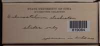 Image Associated With the Occurence